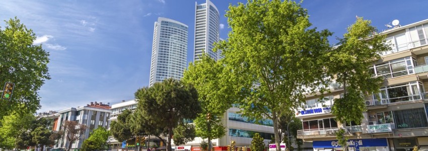 THE PERFECT GUIDE: DISCOVER ASIAN SIDE